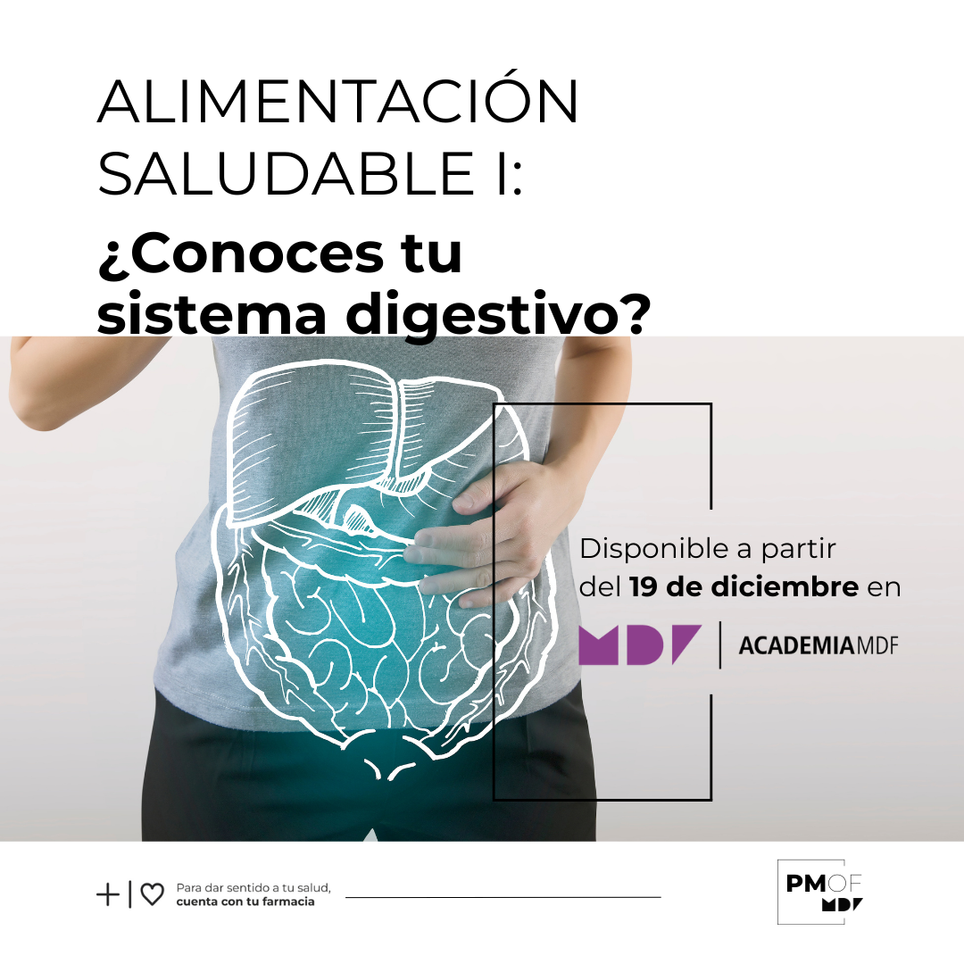 Alimentación Saludable I – ¿Conoces tu sistema digestivo?